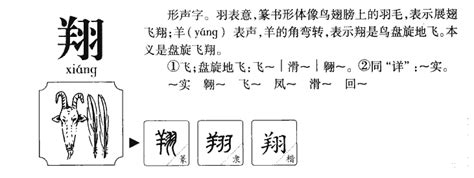 翔 五行|翔的意思，翔字的意思